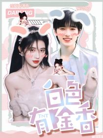TNT：白色郁金香