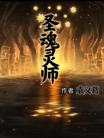 圣魂靈師