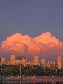 杂杂砸