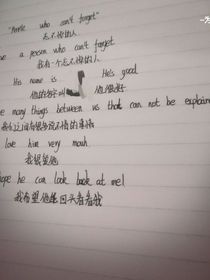 他的背影——