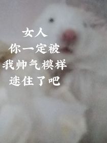 霸道鼠鼠愛(ài)上我