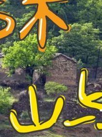 花与树山与村