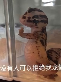 重生之嬌蠻大小姐