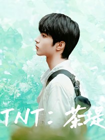 TNT：荼堤