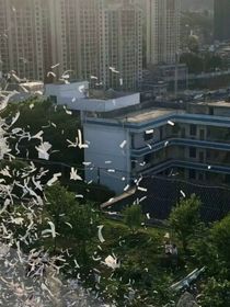 我們相遇在那年