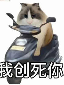 不小心死了之后又穿越了？