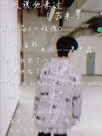 听风说他来过