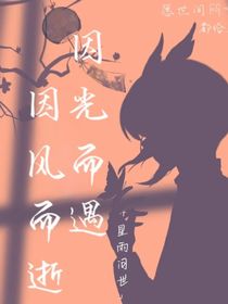 因光而遇，因风而逝