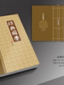 小說(shuō)作品
