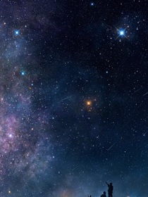 猫咪，喵星，以及一个UP主