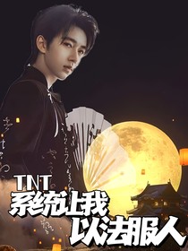TNT：系統(tǒng)讓我以法服人