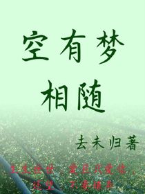 空有梦相随