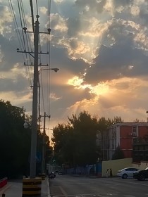 書路