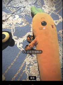 现代：我守护的心灵世界