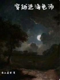 穿越进海龟汤