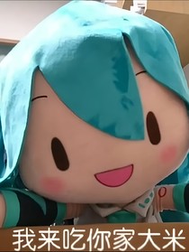 我家大米去哪了