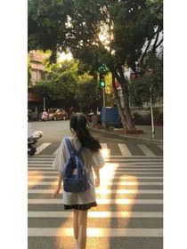 不训
