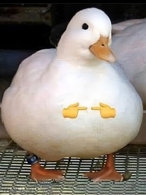 重生后她又飒又美