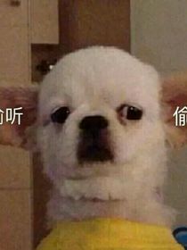 爱你的那段时间