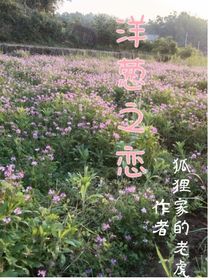 洋蔥之戀