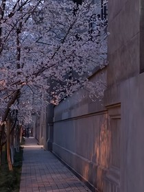 青灯古寺