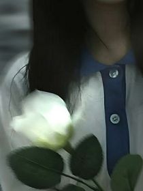 烟雨几度