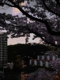 醒不来的梦境