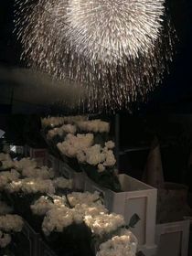 黑与红