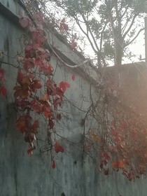 读后感——