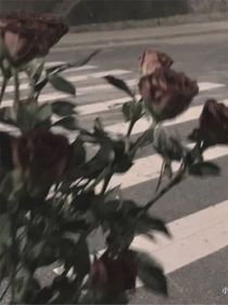 有缘无分定然会铭记终身