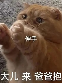 TF三代：哥哥別太愛