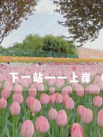 下一站——上岸