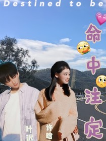 无理由爱你