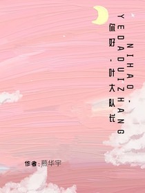 你好，叶大队长