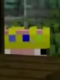 DreamSMP（周安覓杉）