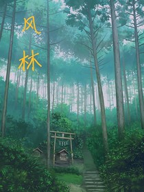风林