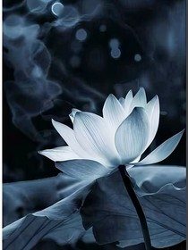 幽都鬼泣