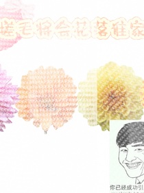 搓毛花落誰家呢