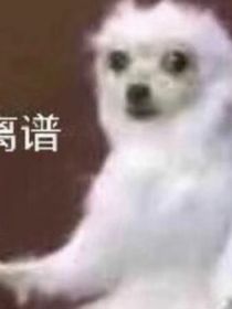 来自话痨作者闲的的废话