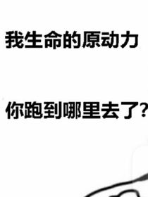 诗集收录