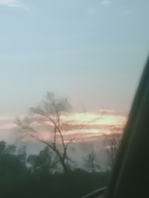 父母虚假的爱