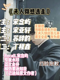 夫人再追我一次