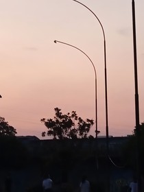 斗龍之愛的你