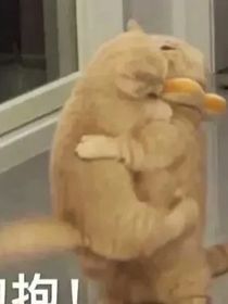 凹凸世界：笑她轻狂