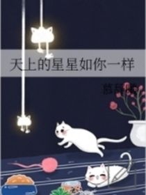 天上的星星如你一樣