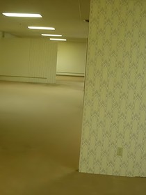 Backrooms后室：我有一个小Level