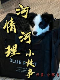 河情河理小故事-d669