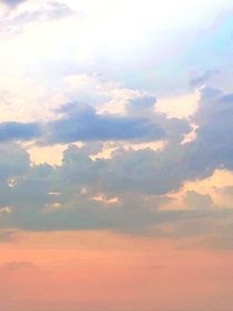 死在玫瑰海里的金发少年