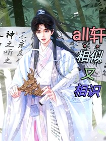 all轩：相似又相识