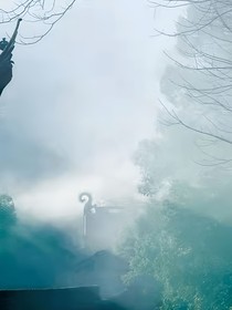 离繁